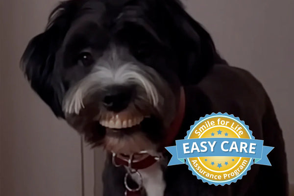 Did Your Dog Get Your Dentures? Don’t Worry—The Easy Care Has You Covered!