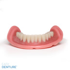 Lower Easy Denture
