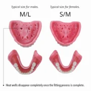 Lower Easy Denture - Image 3